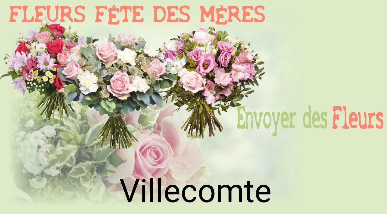 Bouquet de Fête des Mères livré à Villecomte